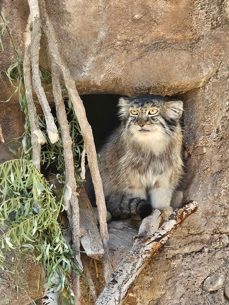ユタ州ホグル動物園のオルダの写真