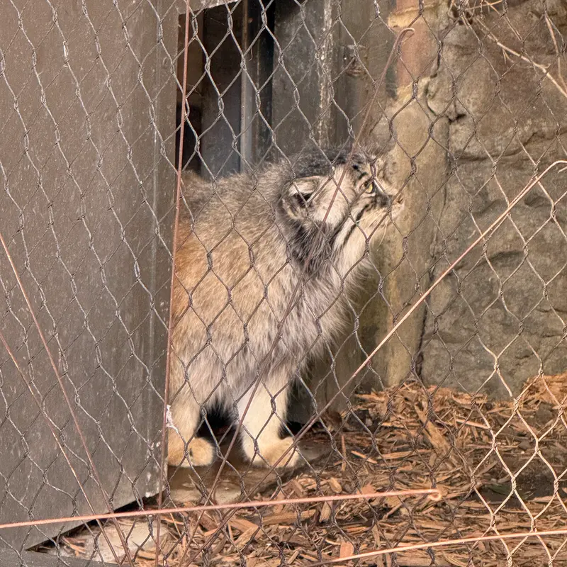 プロスペクト・パーク動物園のサルナイの写真