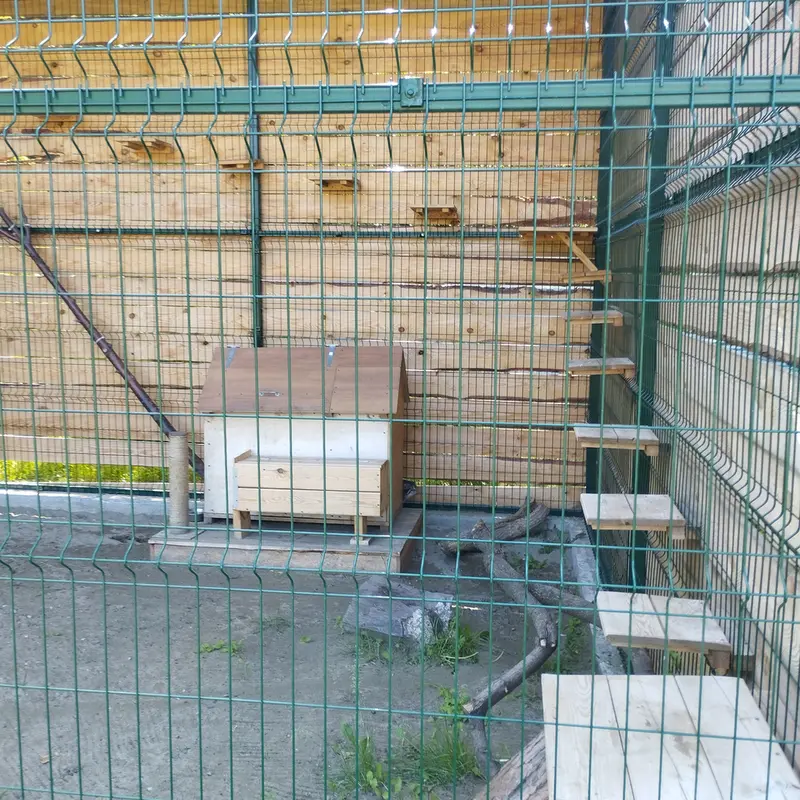 バルナウル動物園「レースナヤ・スカースカ」のチップの写真