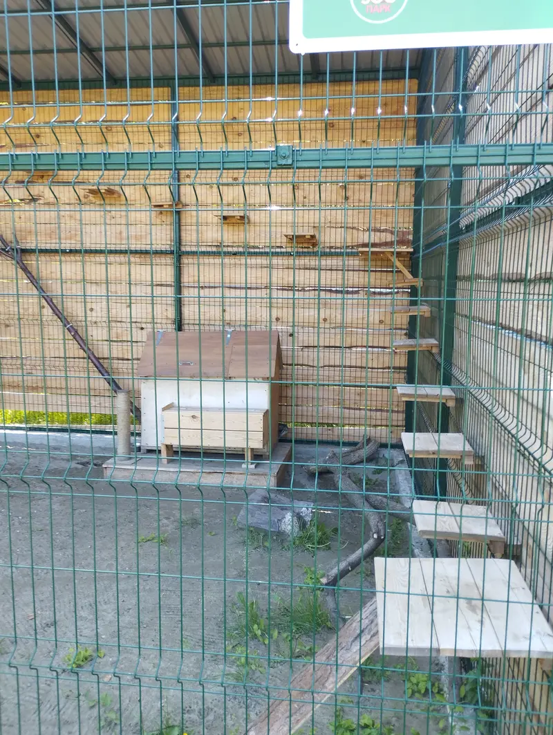 バルナウル動物園「レースナヤ・スカースカ」のチップの写真
