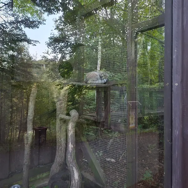 コシツェ動物園のアイセンの写真