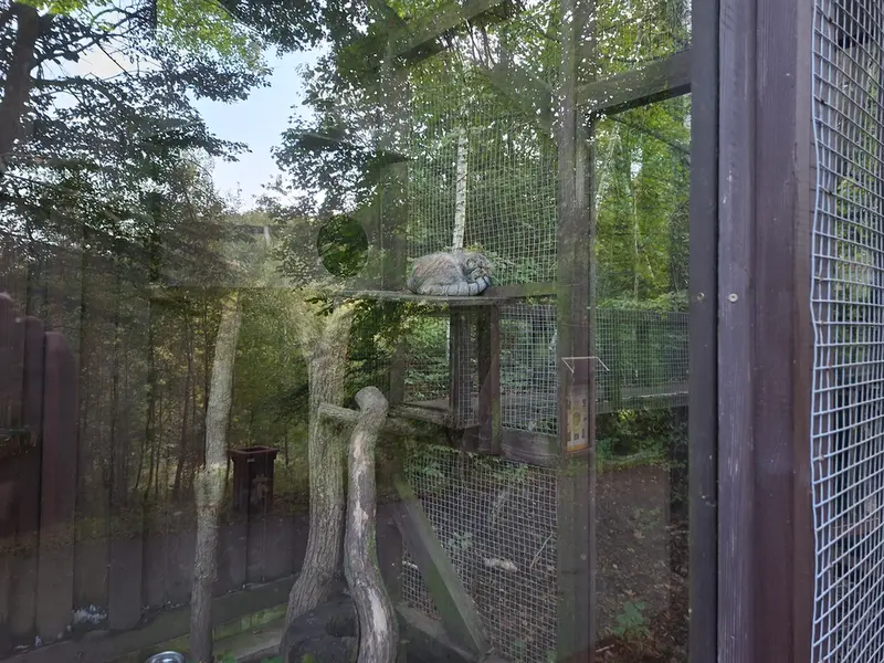 コシツェ動物園のアイセンの写真