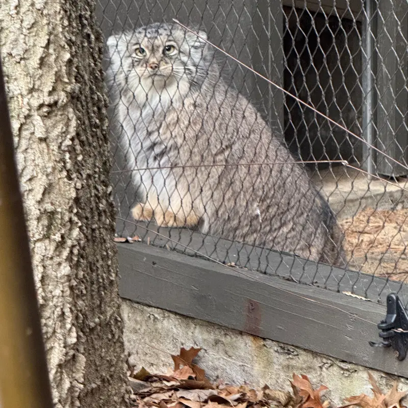 プロスペクト・パーク動物園のサルナイの写真