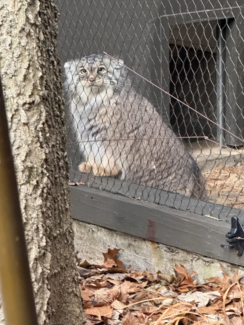 プロスペクト・パーク動物園のサルナイの写真