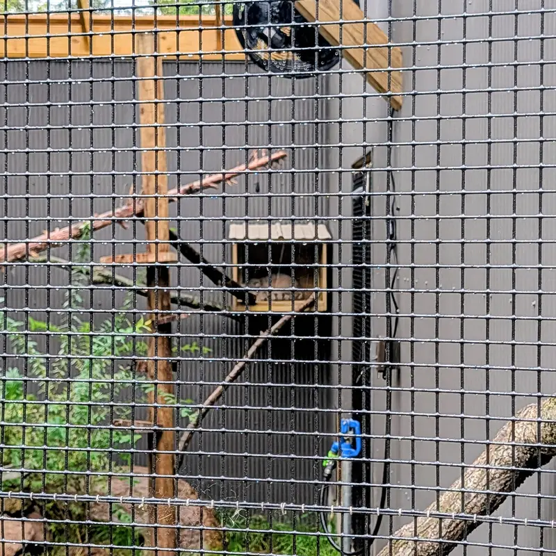 エルムウッド・パーク動物園のカスパーの写真