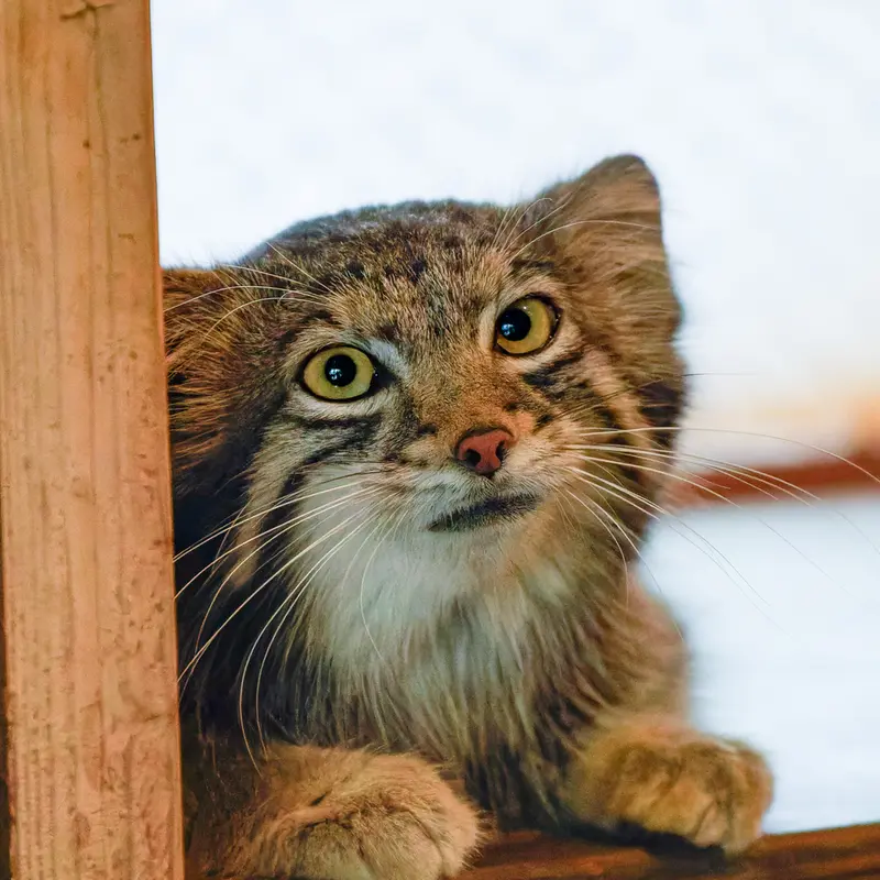 埼玉県こども動物自然公園のオトの写真