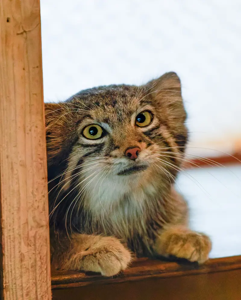 埼玉県こども動物自然公園のオトの写真