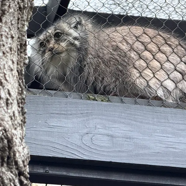 プロスペクト・パーク動物園のサルナイの写真