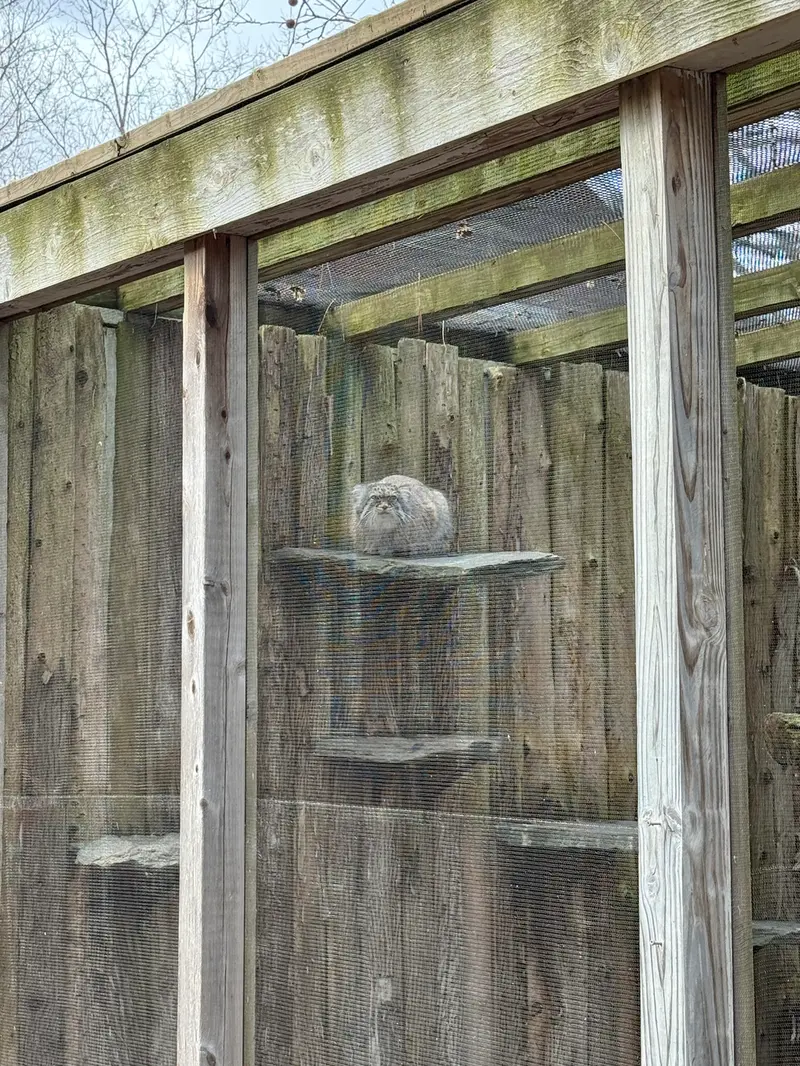 ポッター・パーク動物園のパジの写真