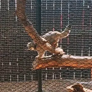 グレート・プレーンズ動物園のカズの写真