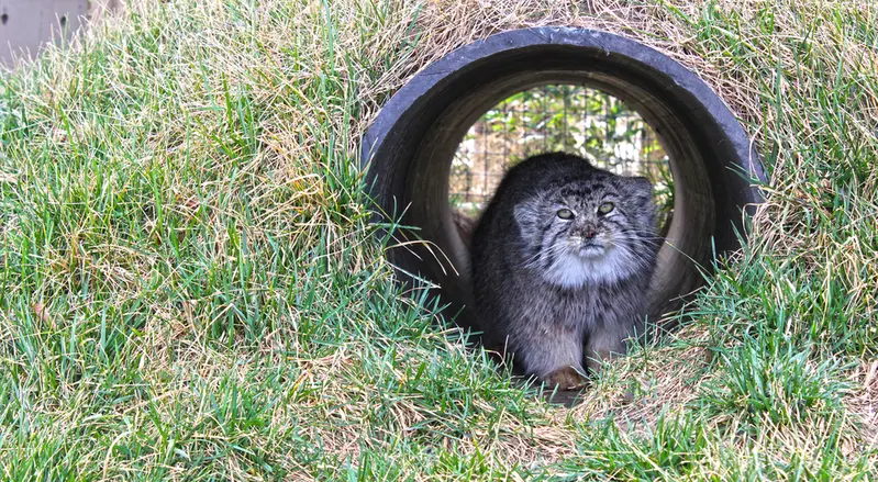 タンガニーカ野生動物公園のティムの写真