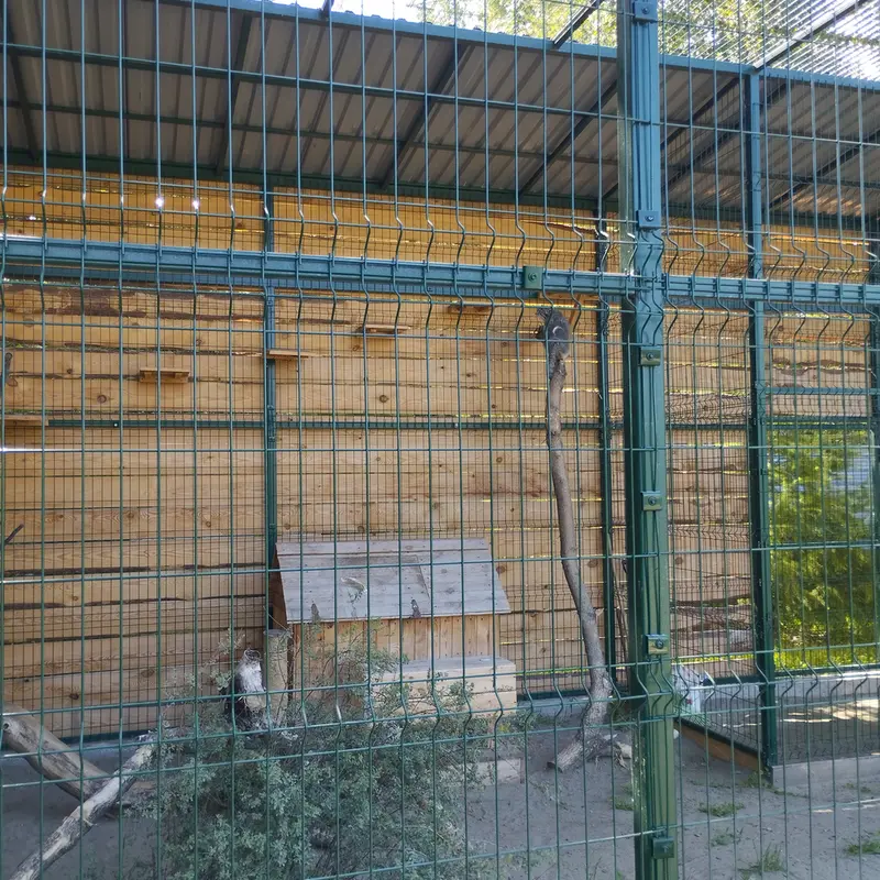 バルナウル動物園「レースナヤ・スカースカ」のペペの写真
