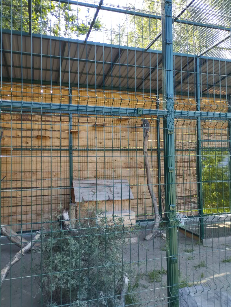 バルナウル動物園「レースナヤ・スカースカ」のペペの写真