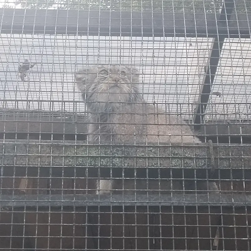 レニングラード動物園のシューの写真
