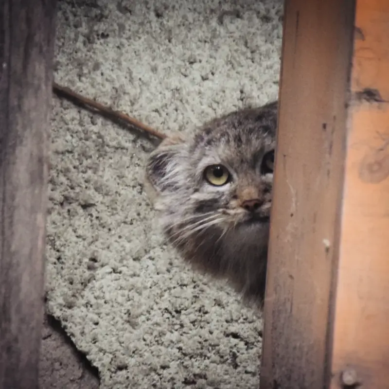 ブダペスト動物園＆植物園のルーシーの写真