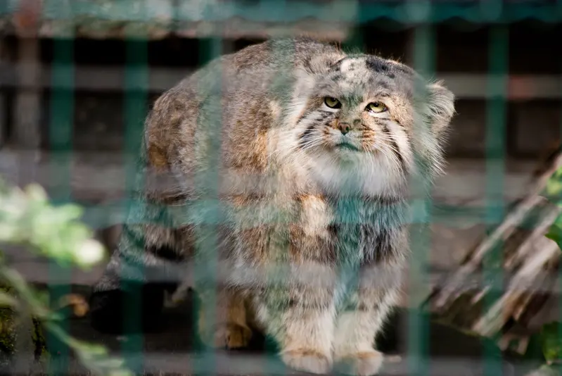 マクデブルク動物園のジョナサンの写真