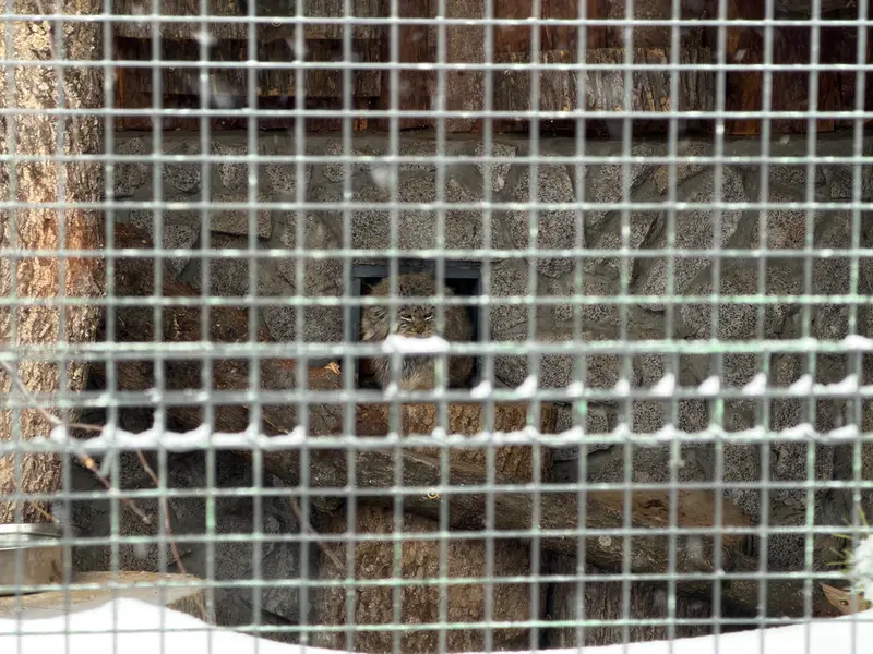 レニングラード動物園のスヴェンの写真