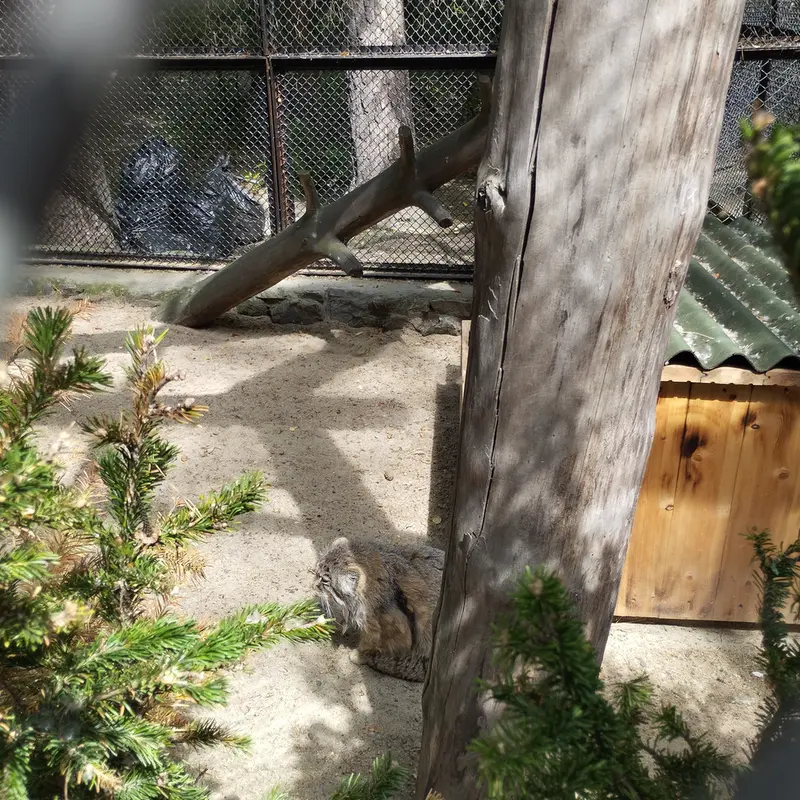 ノヴォシビルスク動物園のゼレノゴルスクの写真