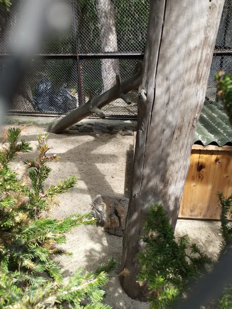 ノヴォシビルスク動物園のゼレノゴルスクの写真