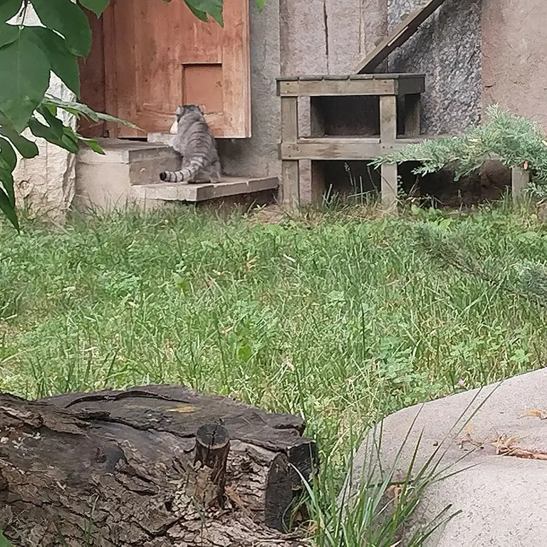 モスクワ動物園のティモフェイの写真