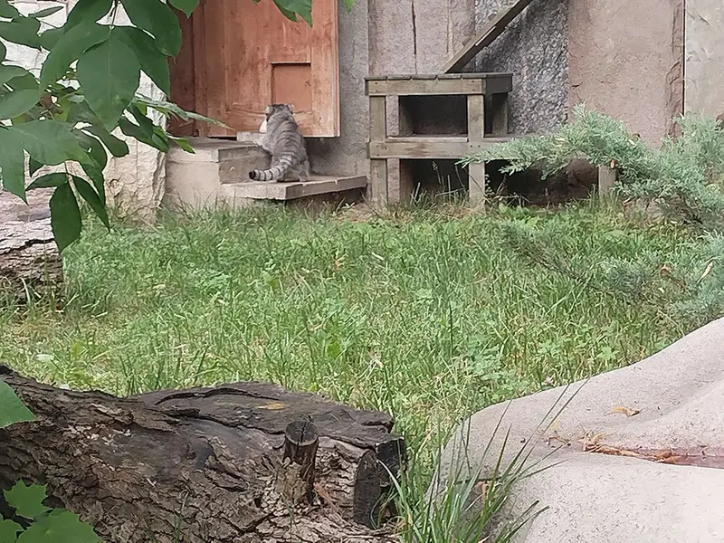 モスクワ動物園のティモフェイの写真
