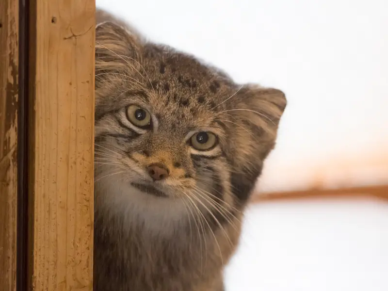 埼玉県こども動物自然公園のオトの写真