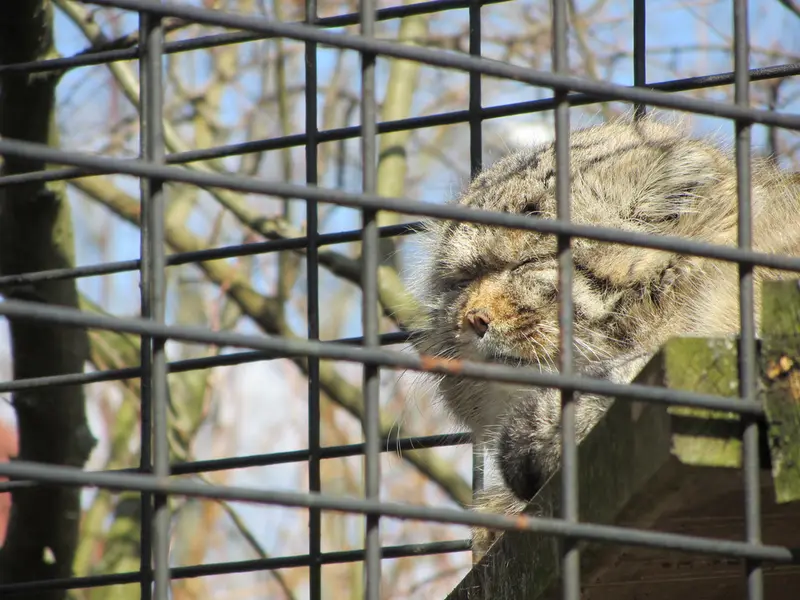 マクデブルク動物園のジョナサンの写真