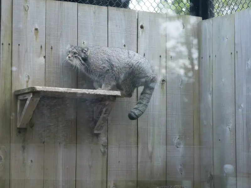 埼玉県こども動物自然公園のオトの写真