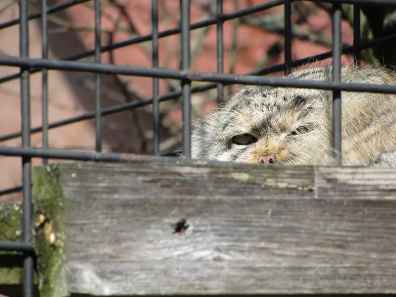 マクデブルク動物園のジョナサンの写真
