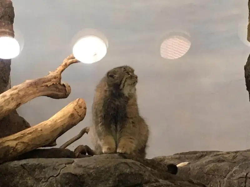 プロスペクト・パーク動物園のボリスの写真