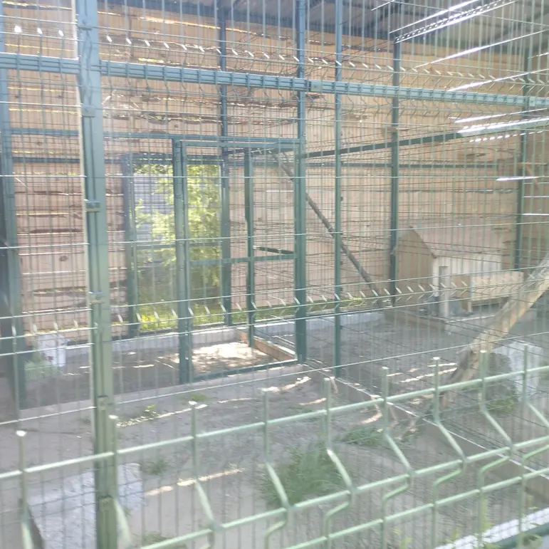バルナウル動物園「レースナヤ・スカースカ」のペペとチップの写真