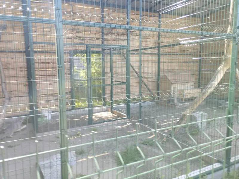 バルナウル動物園「レースナヤ・スカースカ」のペペとチップの写真