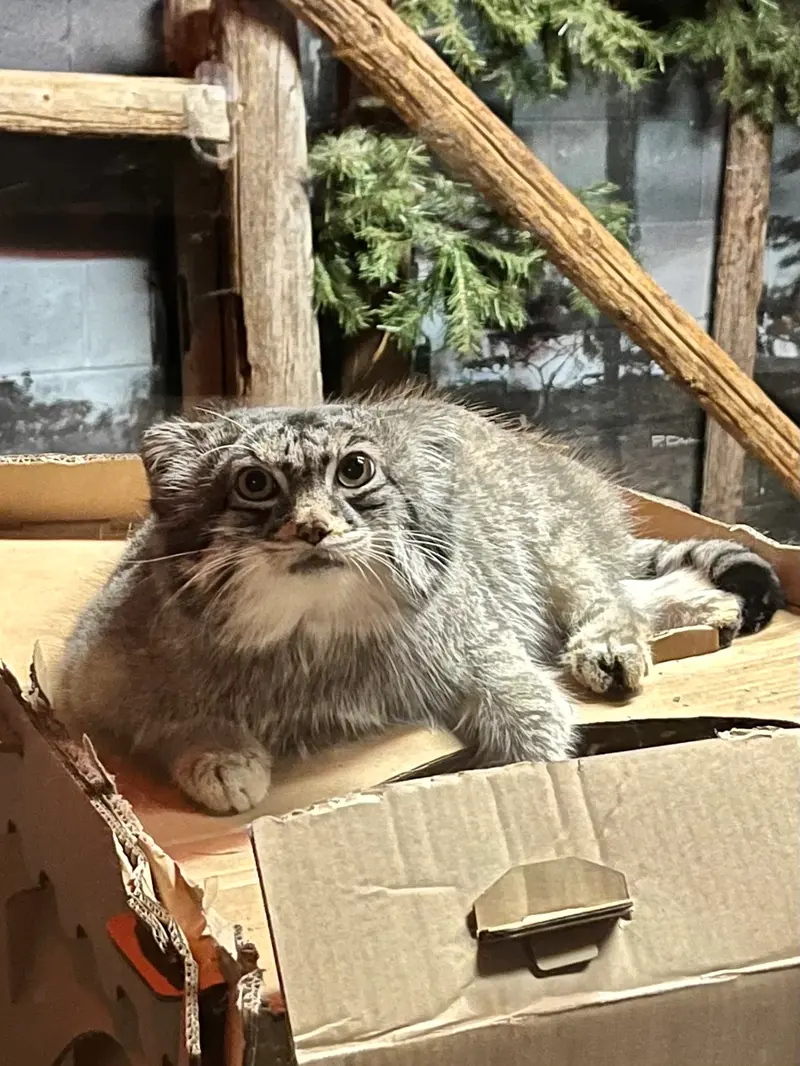 スペリオル湖動物園のパブの写真