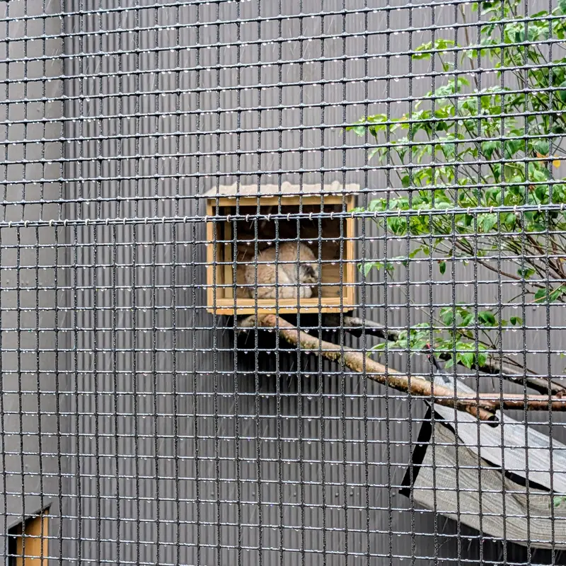 エルムウッド・パーク動物園のレザの写真
