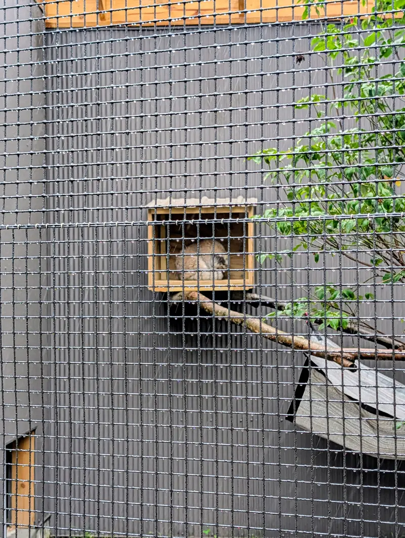 エルムウッド・パーク動物園のレザの写真