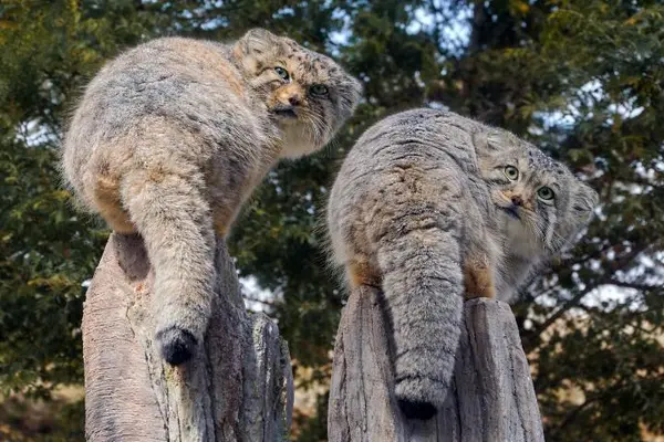 ボルとナゴムの写真