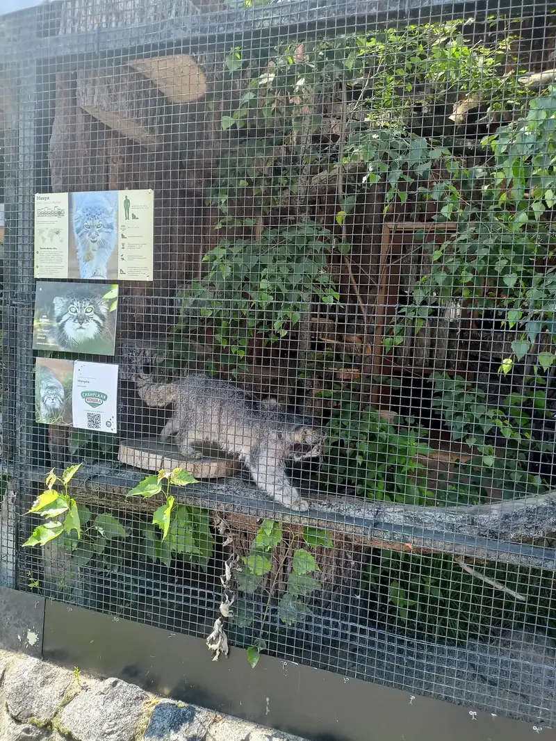 レニングラード動物園のスヴェンの写真