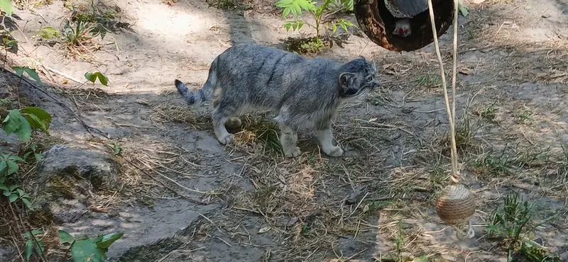ブダペスト動物園・植物園のルーシーの写真