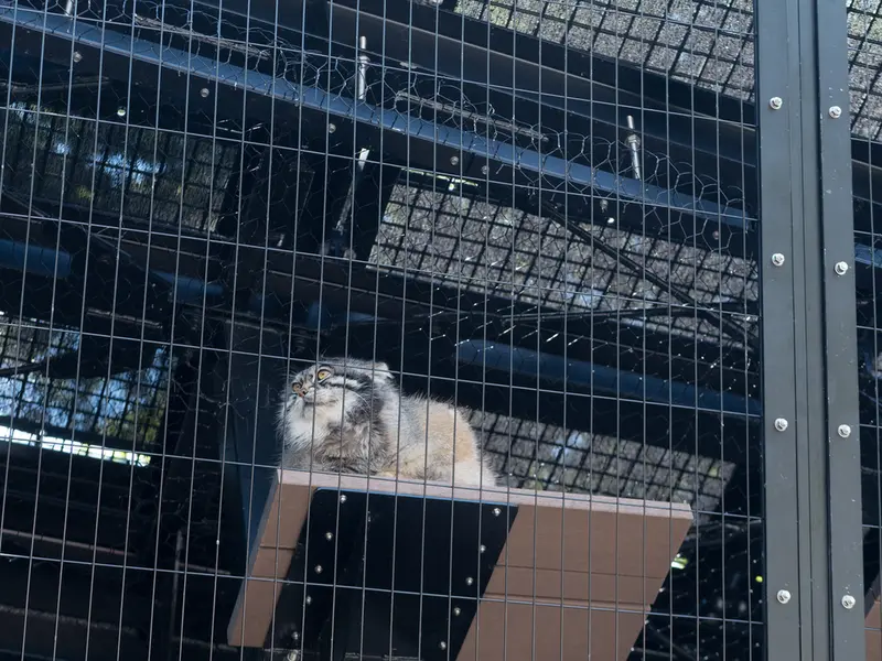 旭山動物園のグルーシャの写真
