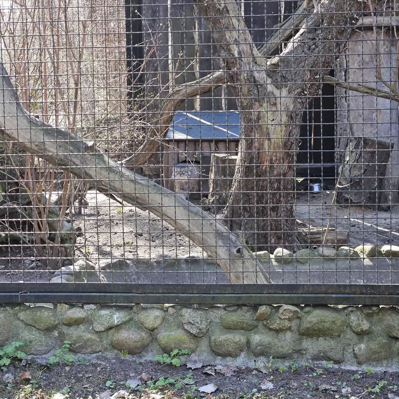 ワルシャワ動物園のジェシーの写真