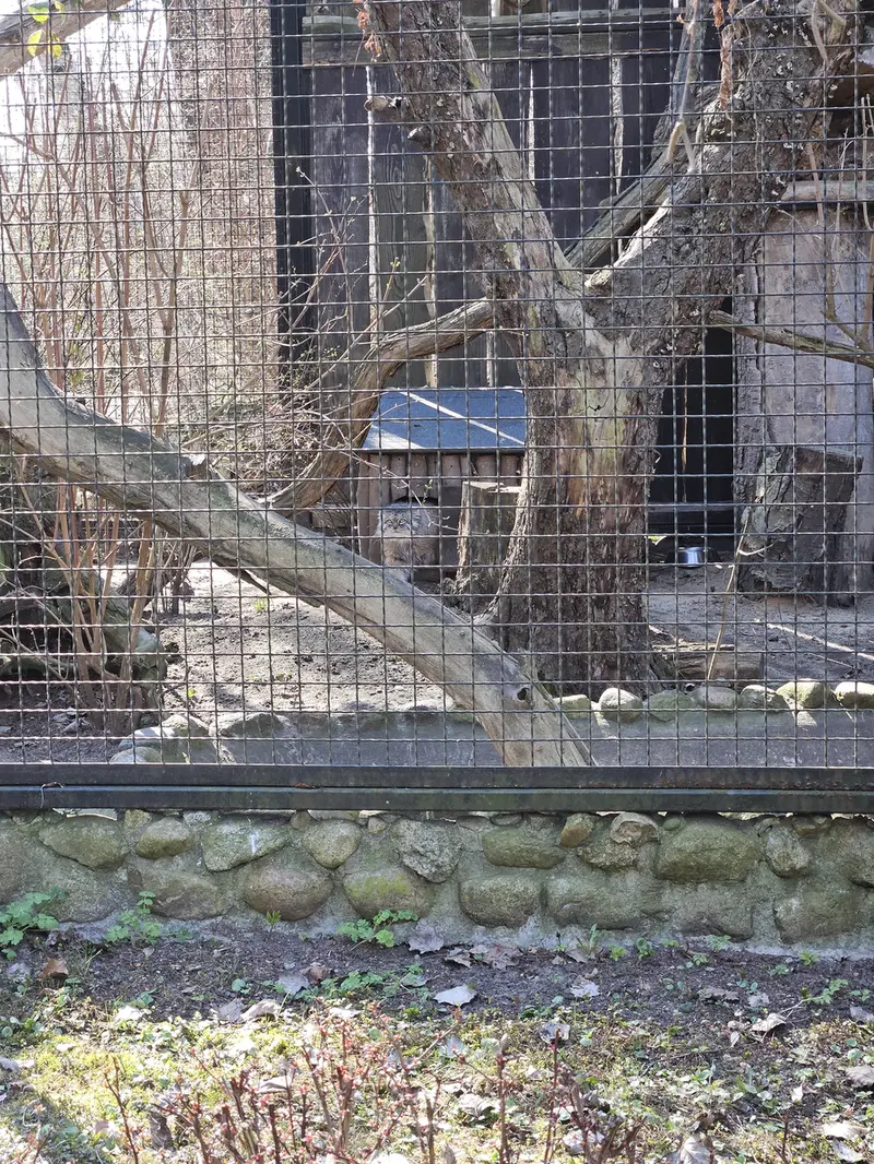 ワルシャワ動物園のジェシーの写真