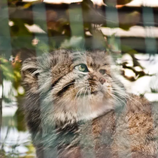 マクデブルク動物園のジョナサンの写真