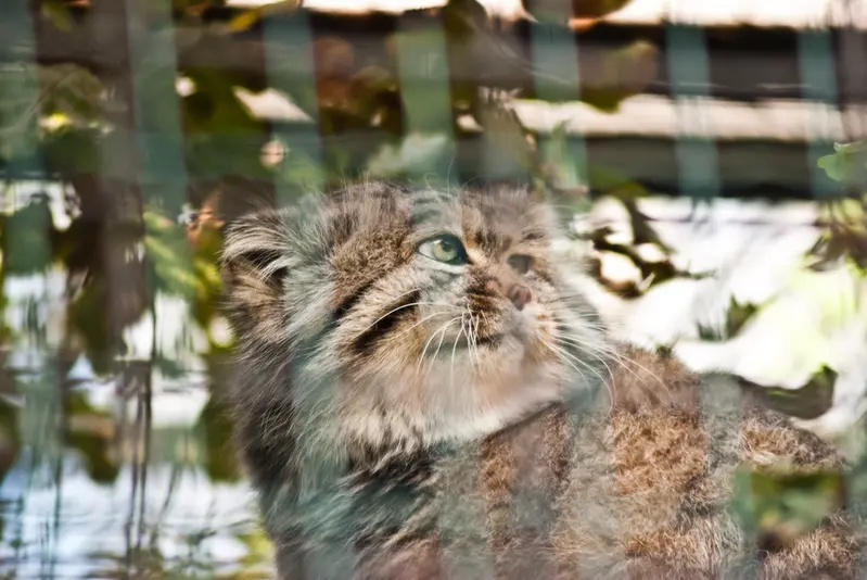 マクデブルク動物園のジョナサンの写真