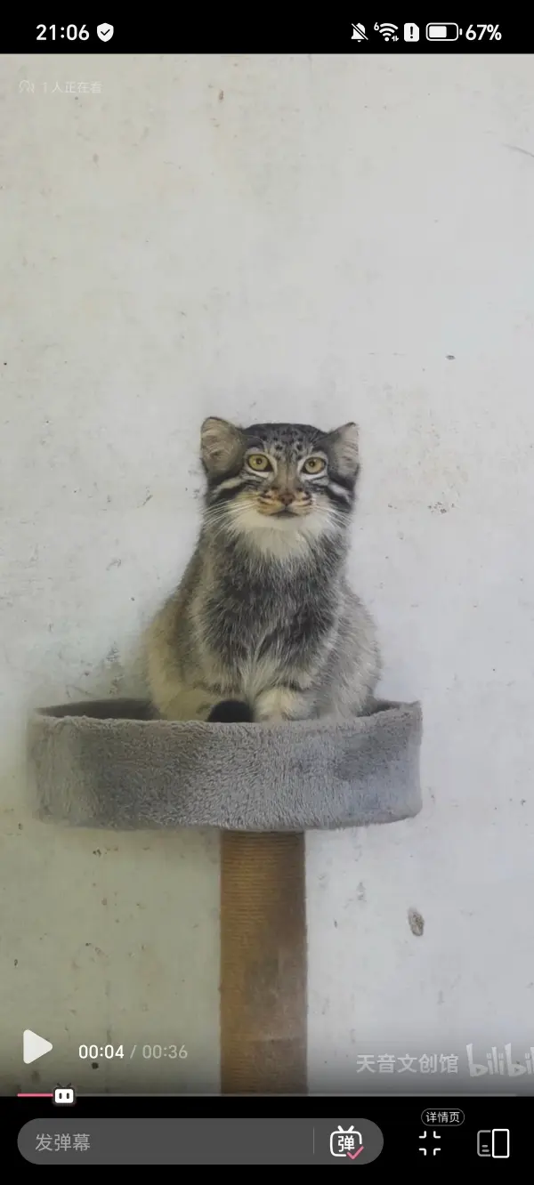 青海チベット高原野生動物園のスン・ダーニャンの写真