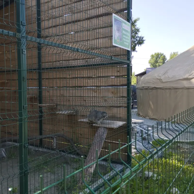 バルナウル動物園「レースナヤ・スカースカ」のチップの写真