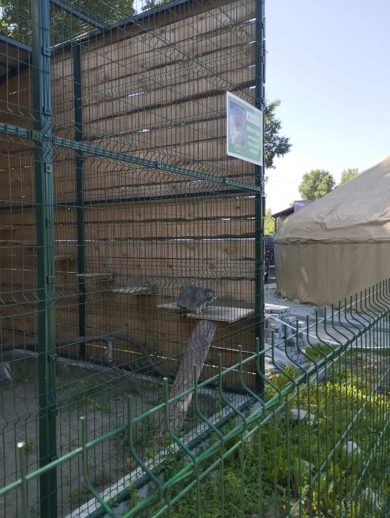 バルナウル動物園「レースナヤ・スカースカ」のチップの写真
