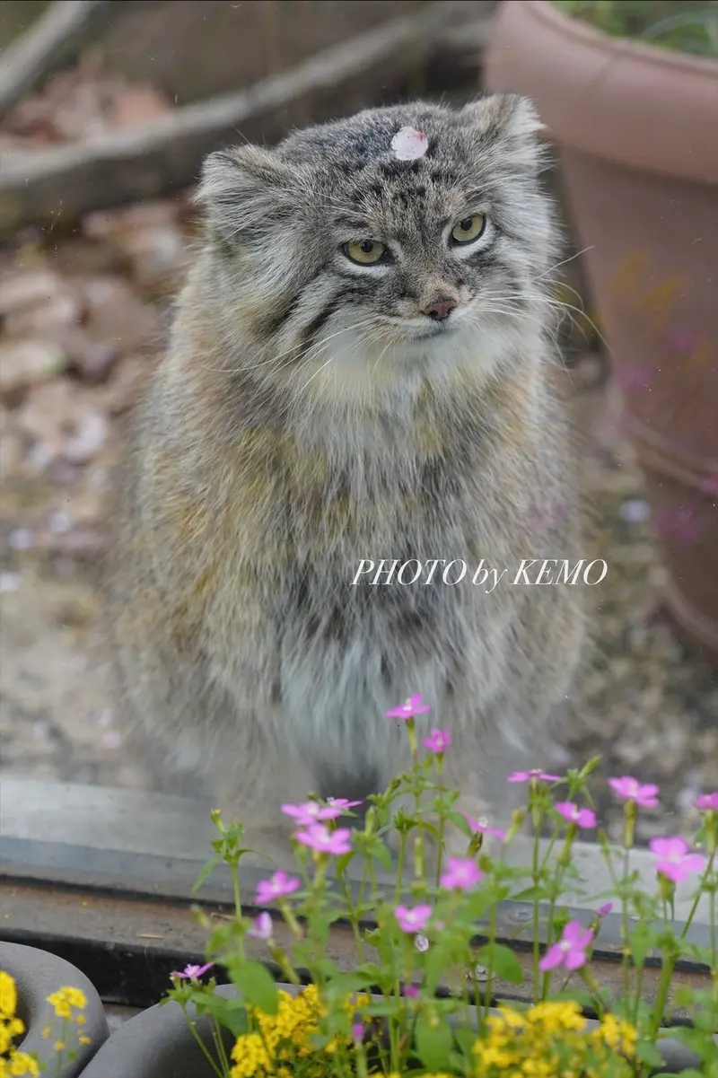 埼玉県こども動物自然公園のオリーヴァの写真