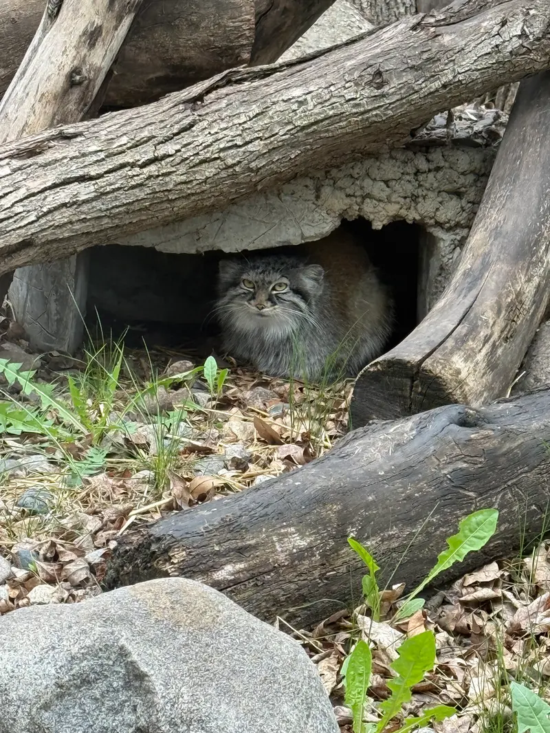 レッドリバー動物園のミーラの写真