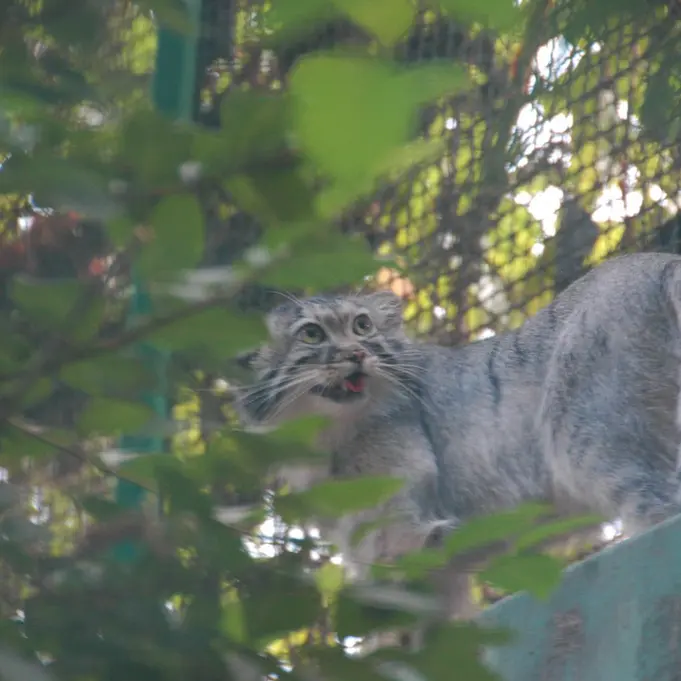 ブダペスト動物園＆植物園のルーシーの写真