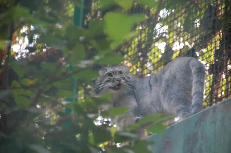 ブダペスト動物園＆植物園のルーシーの写真